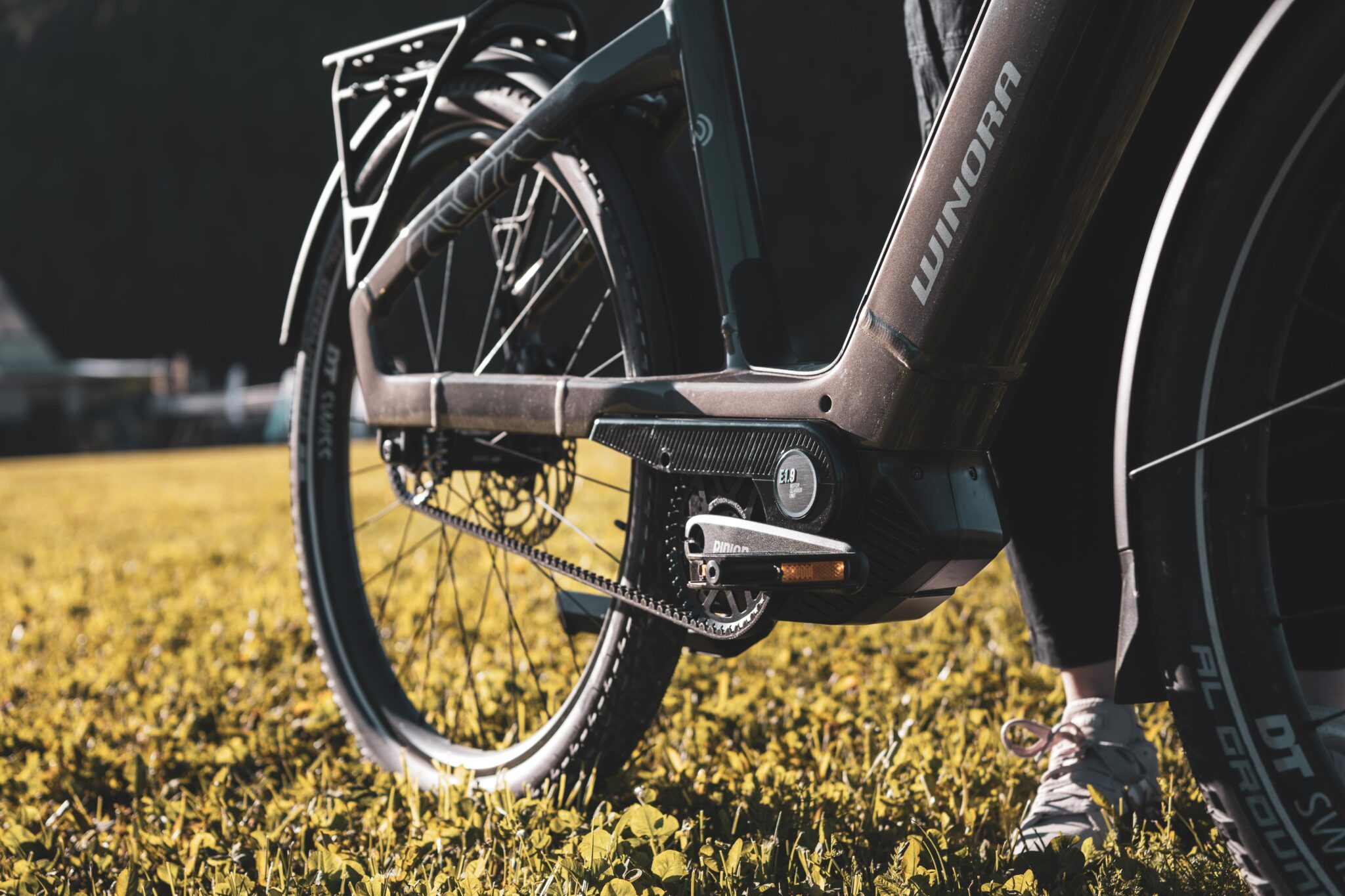 Trekkingrad mit Pinion MGU Detailansicht